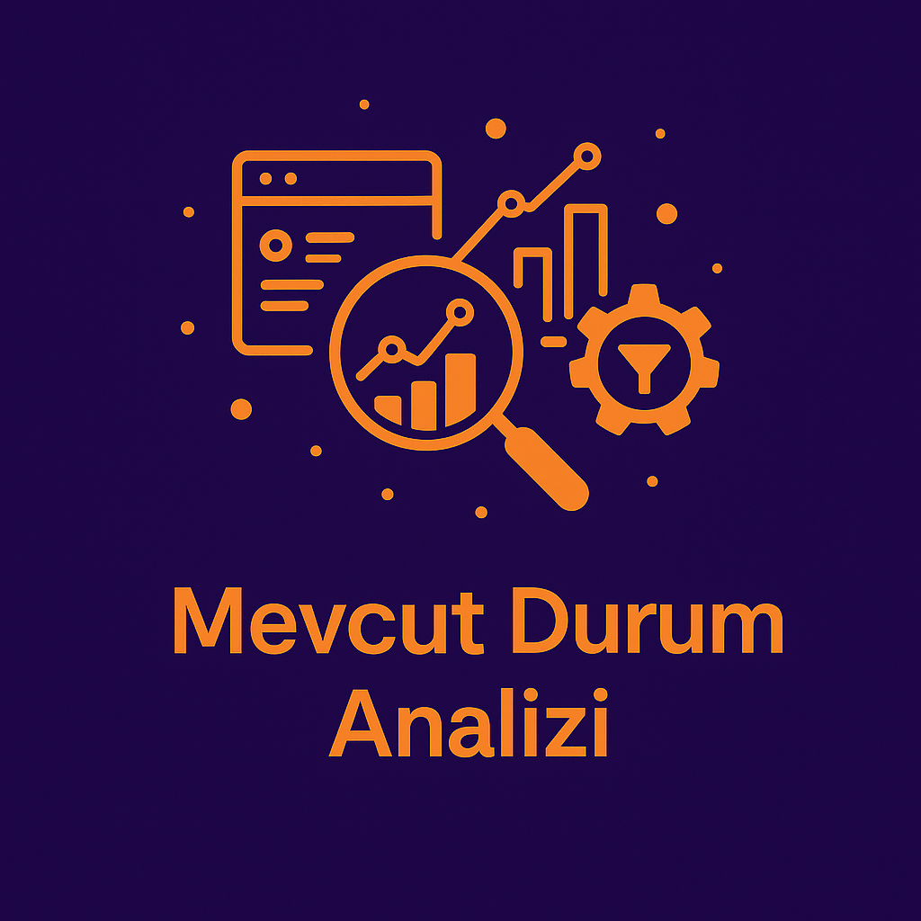 Mevcut Durum Analizi